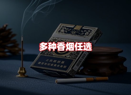 专业团队